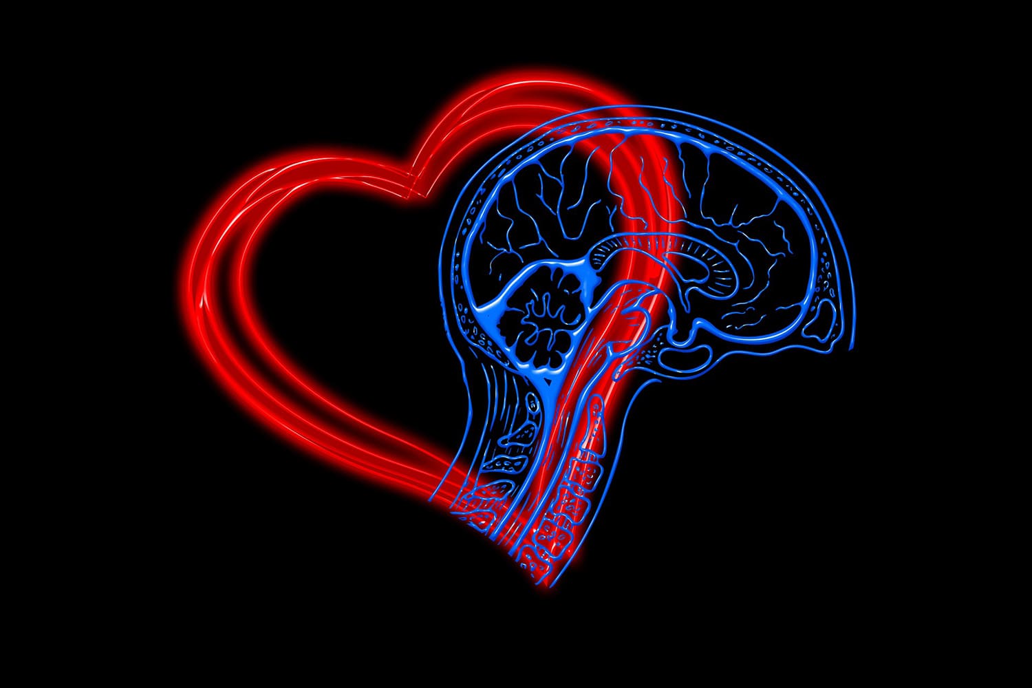 L’intelligence émotionnelle émoi et moi